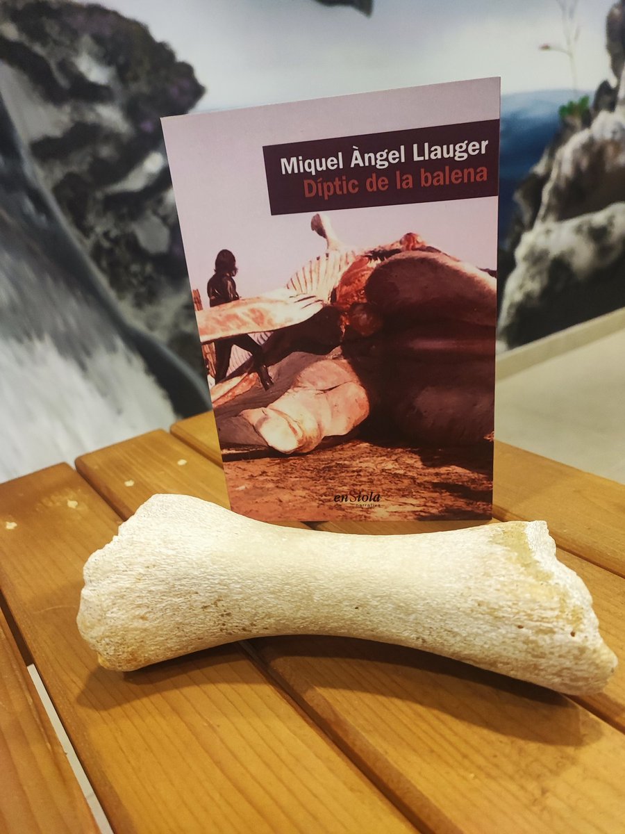 Miquel Àngel Llauger tweet media