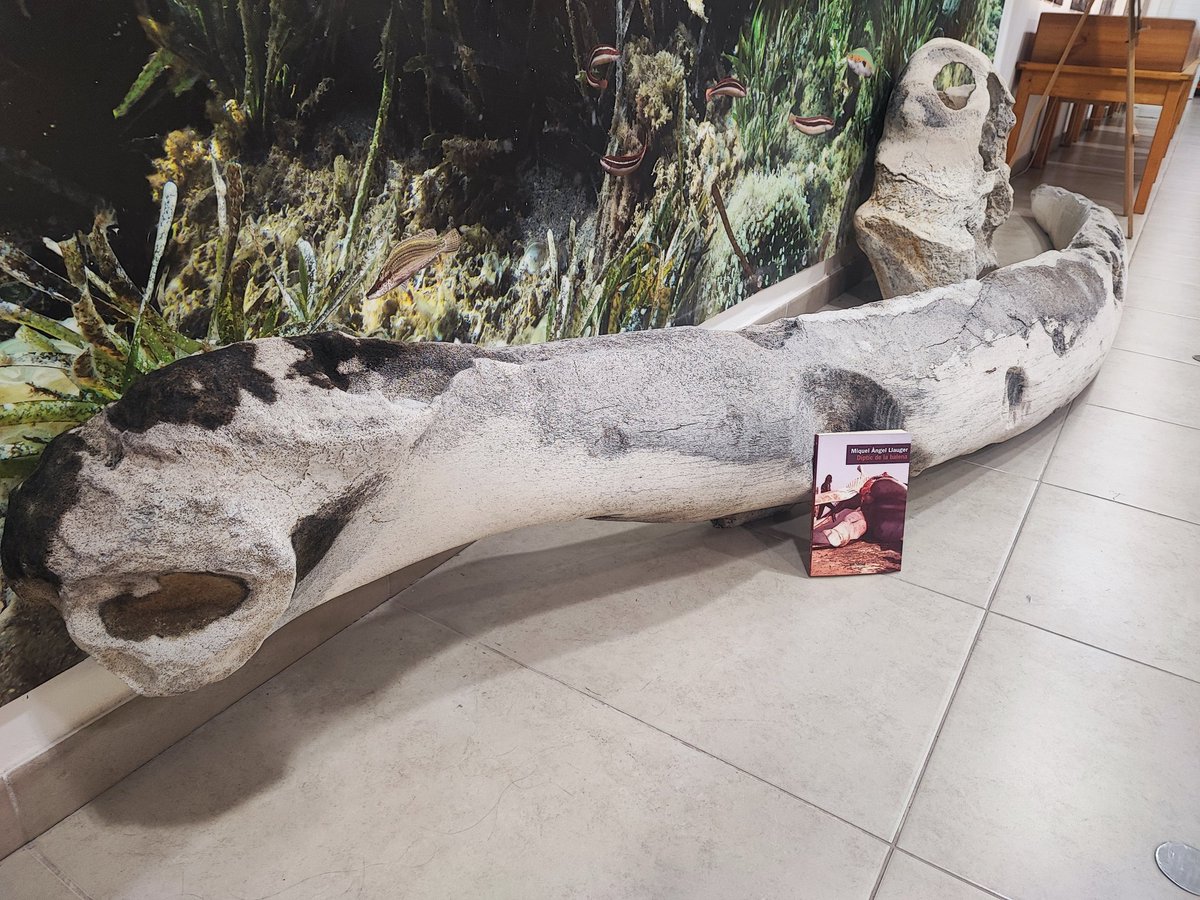 Miquel Àngel Llauger tweet media