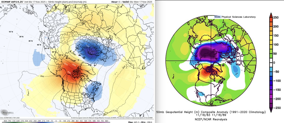 The American Storm tweet media