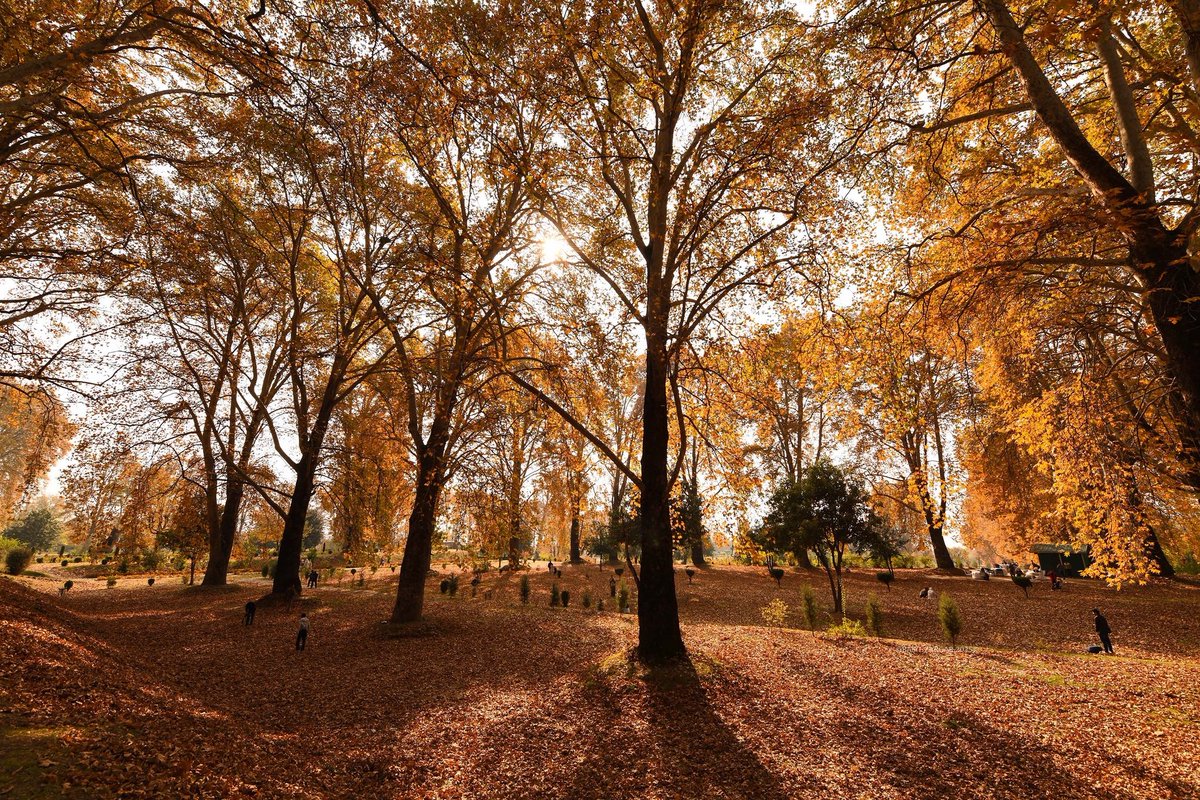 Kashmir wrapped in autumn's breathtaking magic