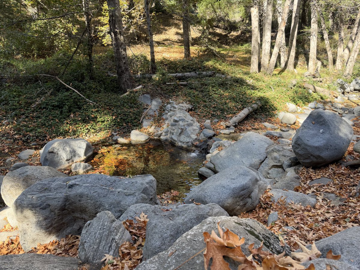leahberman_'s tweet image. autumn sunshine 
#nature #forest #autumn #hiking #landscape