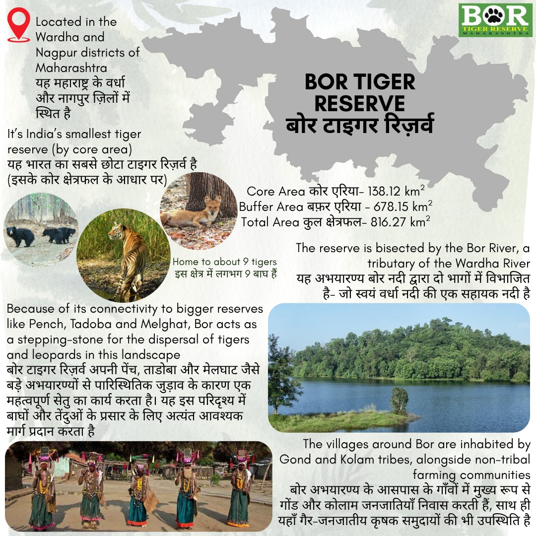 UPSCSCORE's tweet image. बोर टाइगर रिज़र्व, जिसे 2014 में अधिसूचित किया गया, अपना नाम जीवनदायिनी बोर नदी से प्राप्त करता है

यह अभयारण्य महाराष्ट्र में है,जो मध्य भारत के हरित गलियारों में बाघों और अन्य वन्यजीवों की आवाजाही को संभव बनाता है

यह भारत का सबसे छोटा टाइगर रिज़र्व है,कोर क्षेत्रफल के आधार पर
