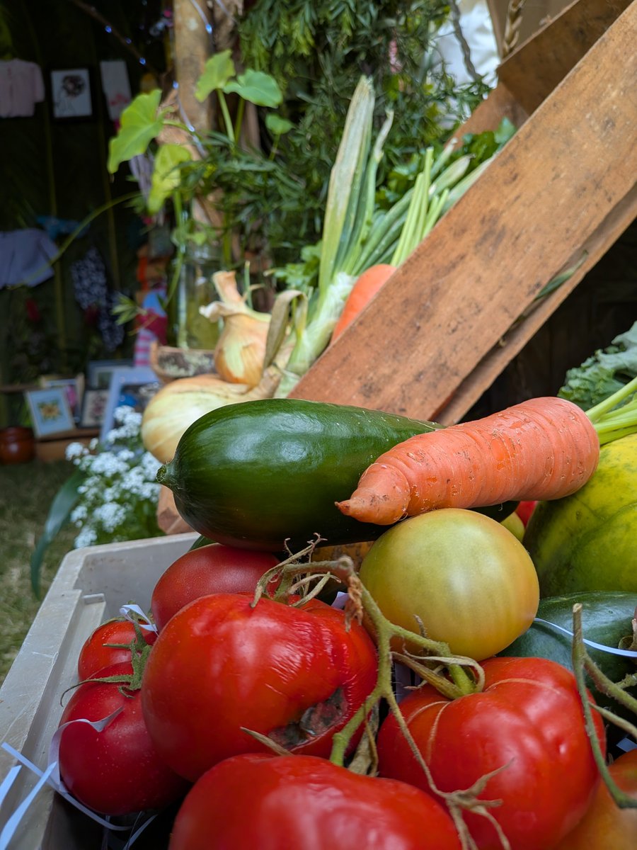 🌱 St Helena’s agricultural fair this weekend was a fantastic celebration of local produce and craftsmanship! Each district shone with unique stalls, and the life-size bamboo Jonathan the Tortoise was a highlight. Huge thanks to everyone who participated and made it a success! 🐢