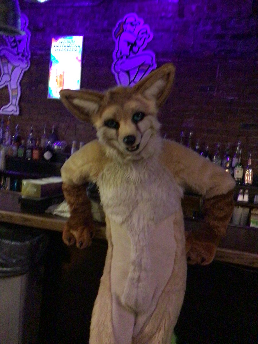 Maxwell The Raccoon tweet media