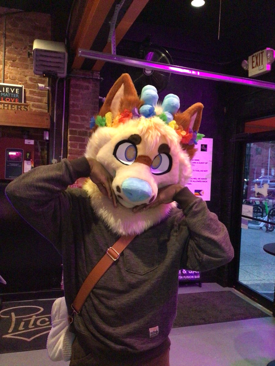 Maxwell The Raccoon tweet media