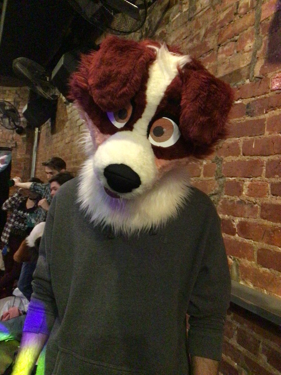 Maxwell The Raccoon tweet media