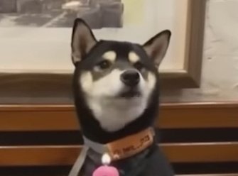 I hope no "Evil Containers" appear in my feed, Oh god, I don't want any "Evil Containers" to appear here, in my relaxed feed, where there are no "Evil Containers"