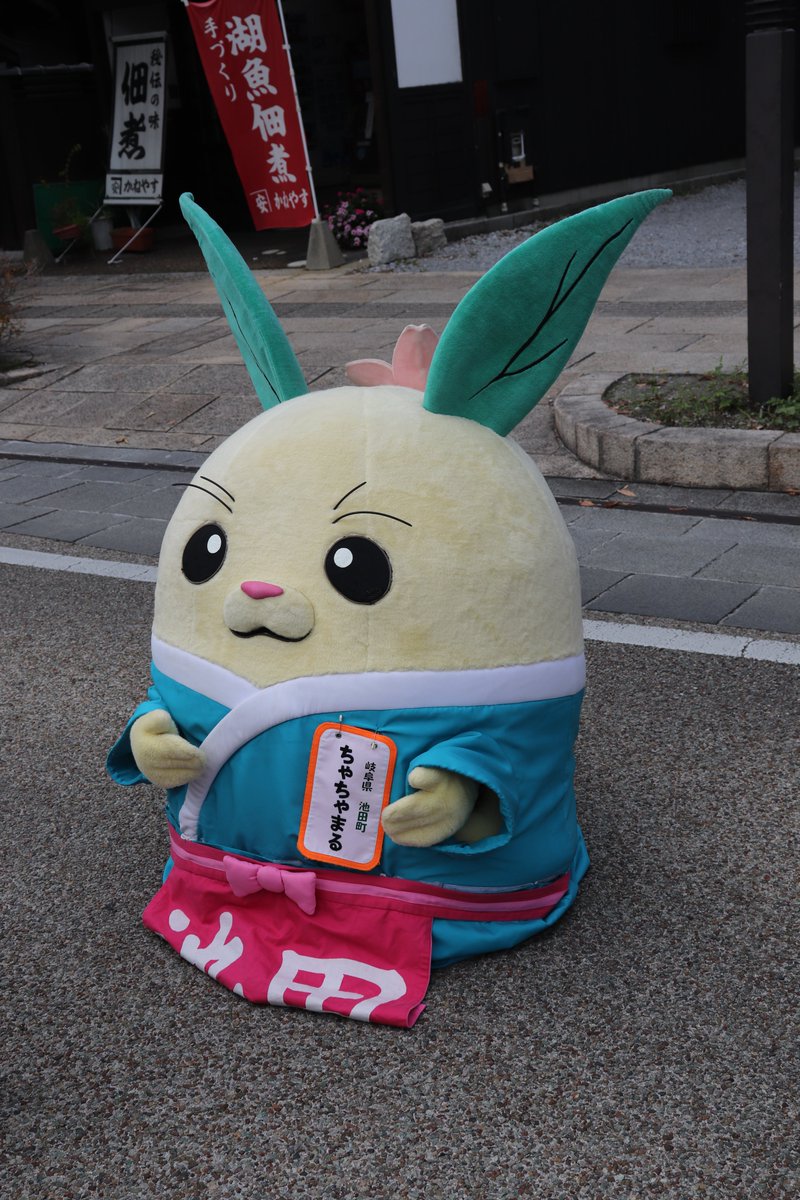 ちゃちゃ丸 ちゃちゃまる