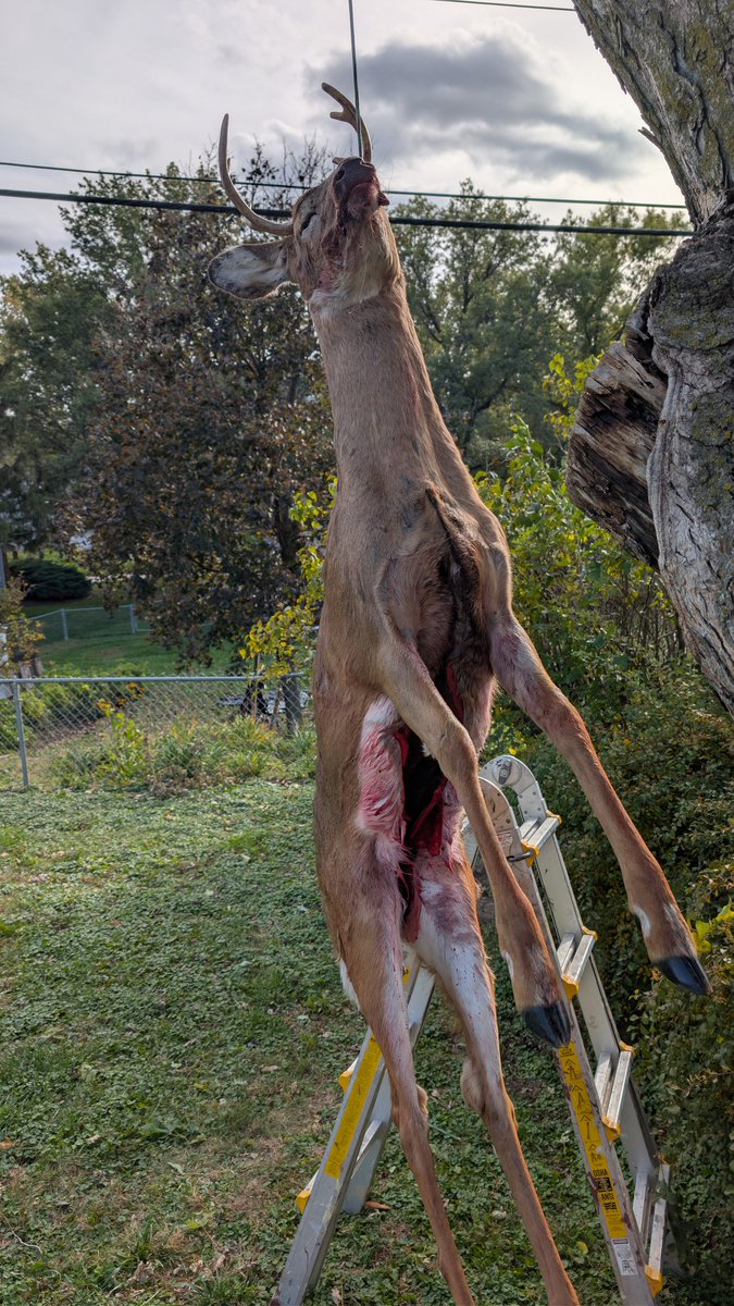 That One Dead Guy tweet media