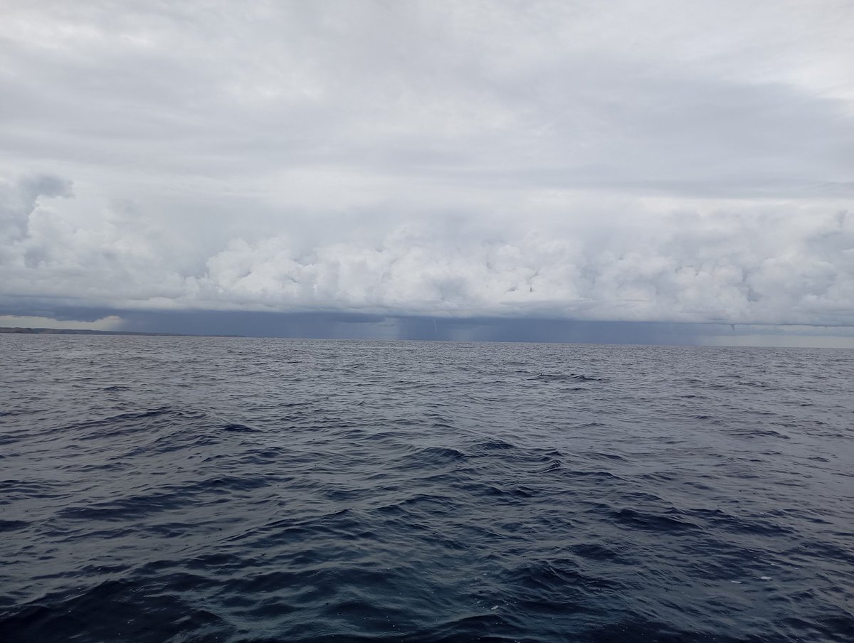 Mario Victori tweet media