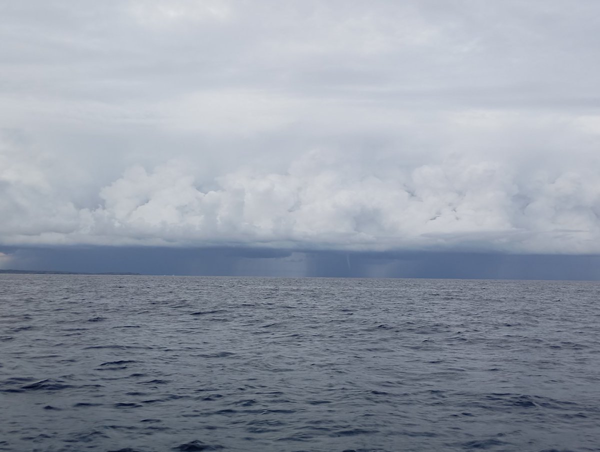 Mario Victori tweet media