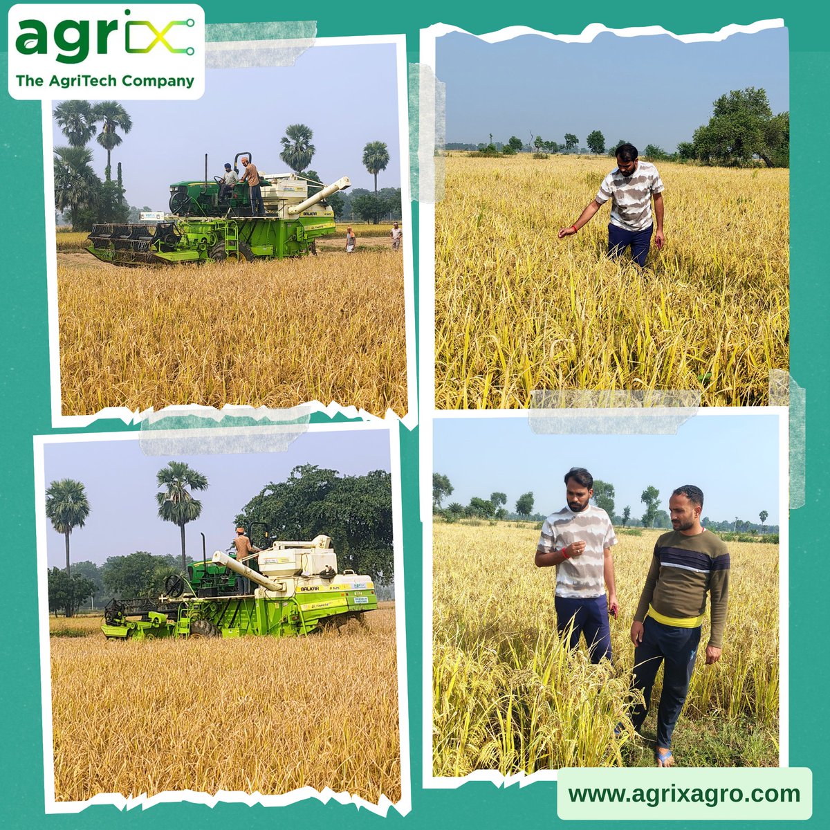AgrixIndia's tweet image. 🌾Kharif paddy harvesting is in full swing!

Agrix is helping farmers with fast, easy, and efficient harvesting using our advanced Combine Harvester. 
Want to book one?
Visit your nearest Agrix Point or download the Agrix App to book instantly! 🚜

Visit: agrixagro.com
