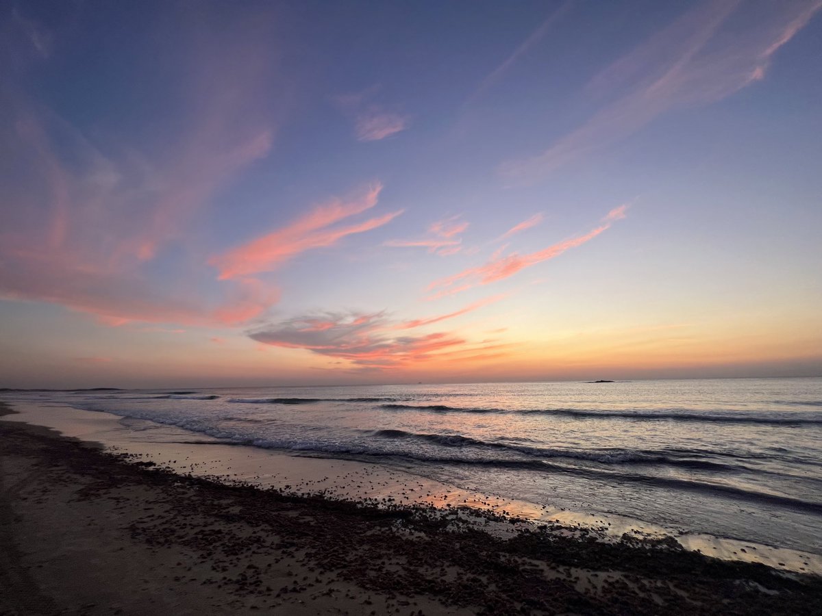 Nutshell0O7's tweet image. Made by GOD