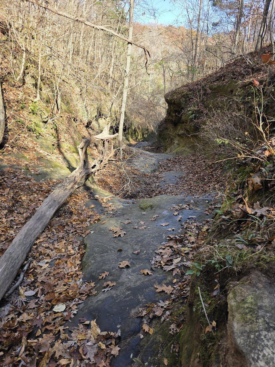 Fred L Imundo tweet media