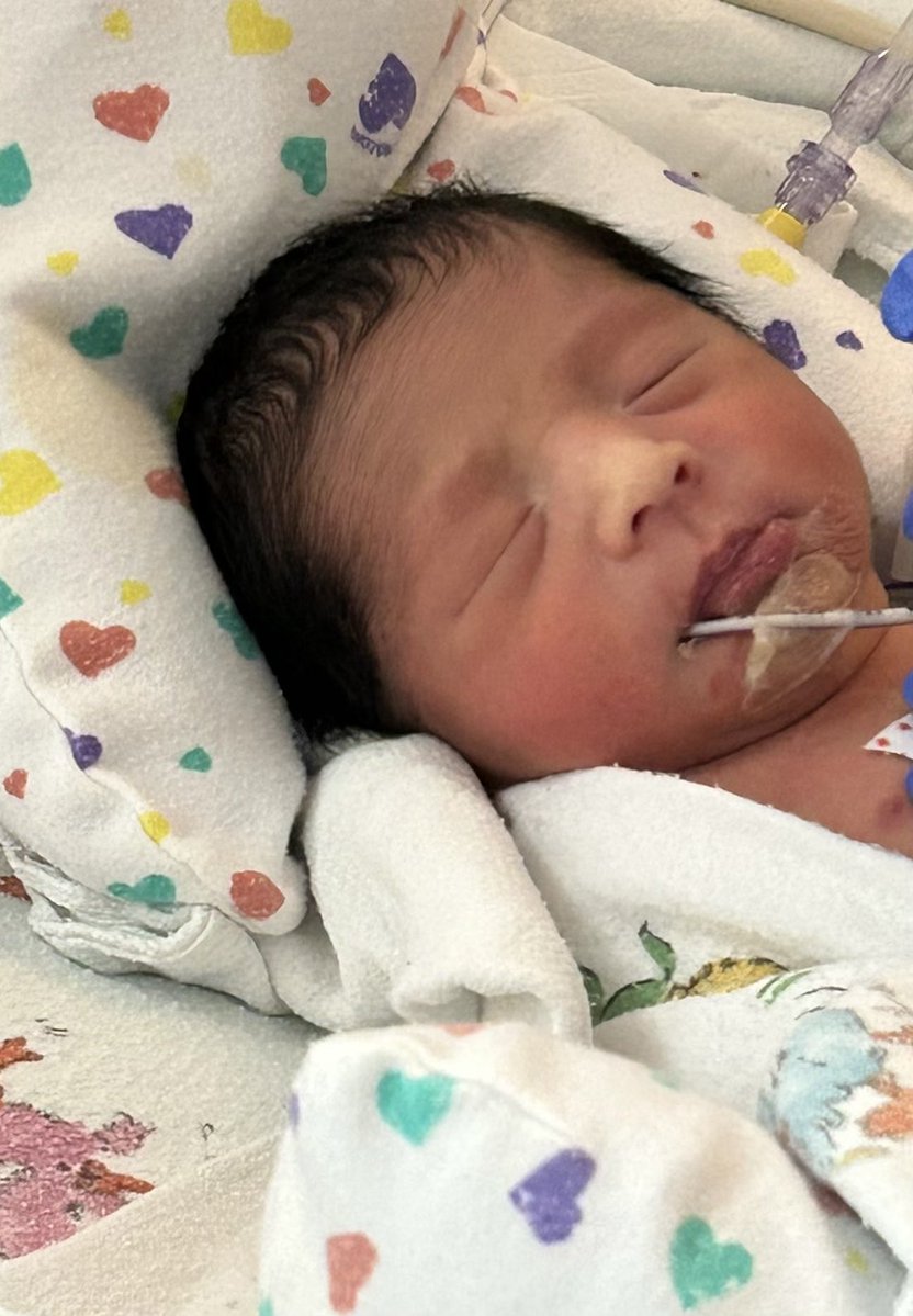 RepCarbajal's tweet image. Our family is excited to welcome our twin grandsons into the world! Congratulations to my daughter Natasha and son-in-law Ernie.