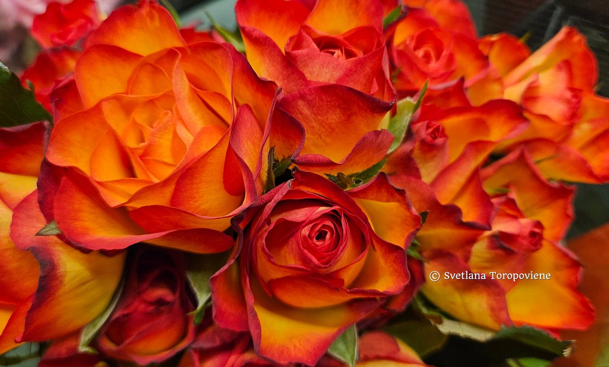 LanaToro21's tweet image. #Photobyme📷 #Yesterdayshots 
#MyThoughts

One of the most important discoveries in life is to understand that how someone treats us doesn&apos;t speak about our worth. It speaks about their ability to love, see, and feel...❤️