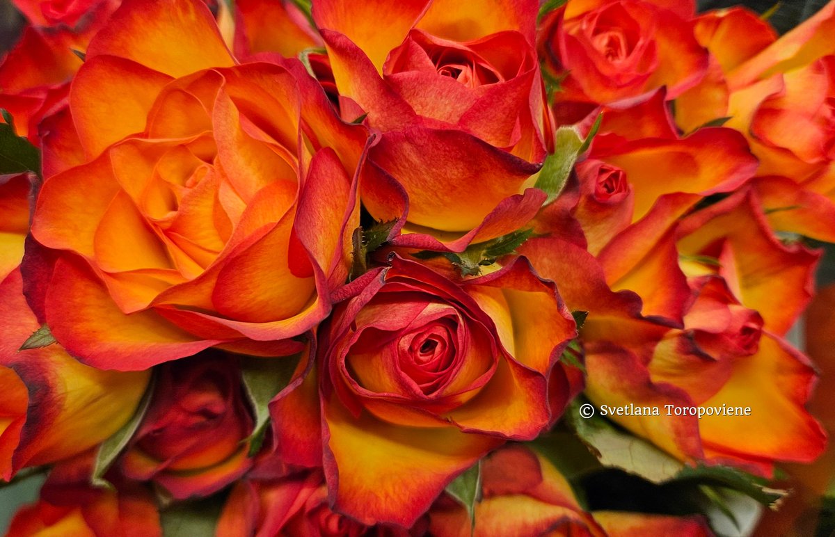 LanaToro21's tweet image. #Photobyme📷 #Yesterdayshots 
#MyThoughts

One of the most important discoveries in life is to understand that how someone treats us doesn&apos;t speak about our worth. It speaks about their ability to love, see, and feel...❤️