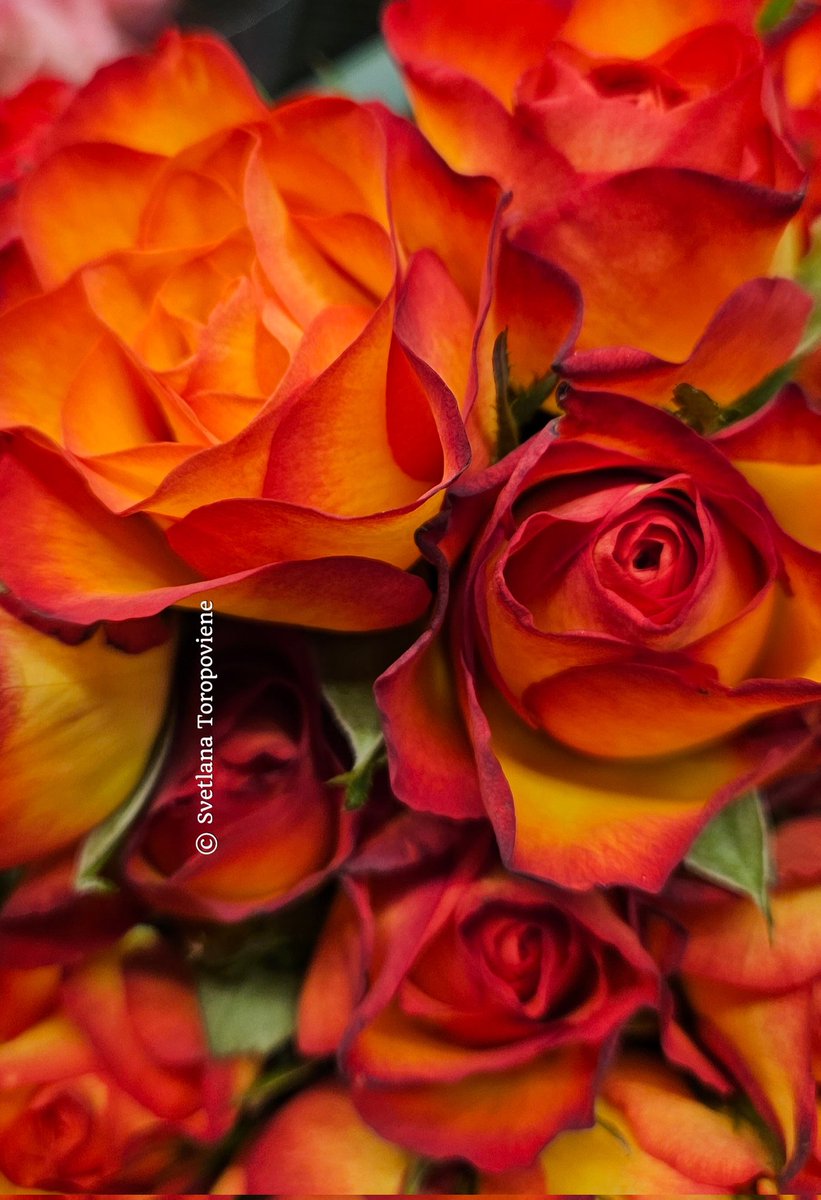 LanaToro21's tweet image. #Photobyme📷 #Yesterdayshots 
#MyThoughts

One of the most important discoveries in life is to understand that how someone treats us doesn&apos;t speak about our worth. It speaks about their ability to love, see, and feel...❤️