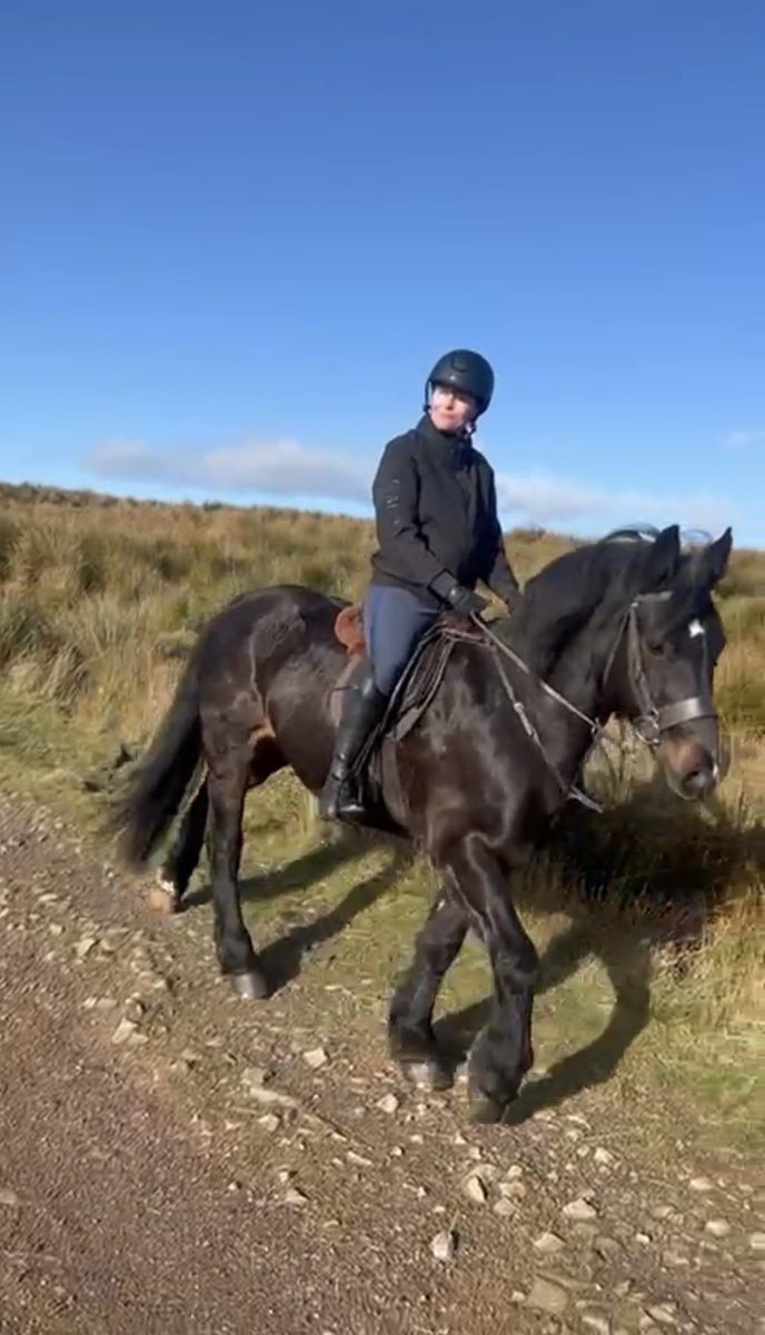 An Autumn potter 🤎🍁#horsingaround #horseandgirl