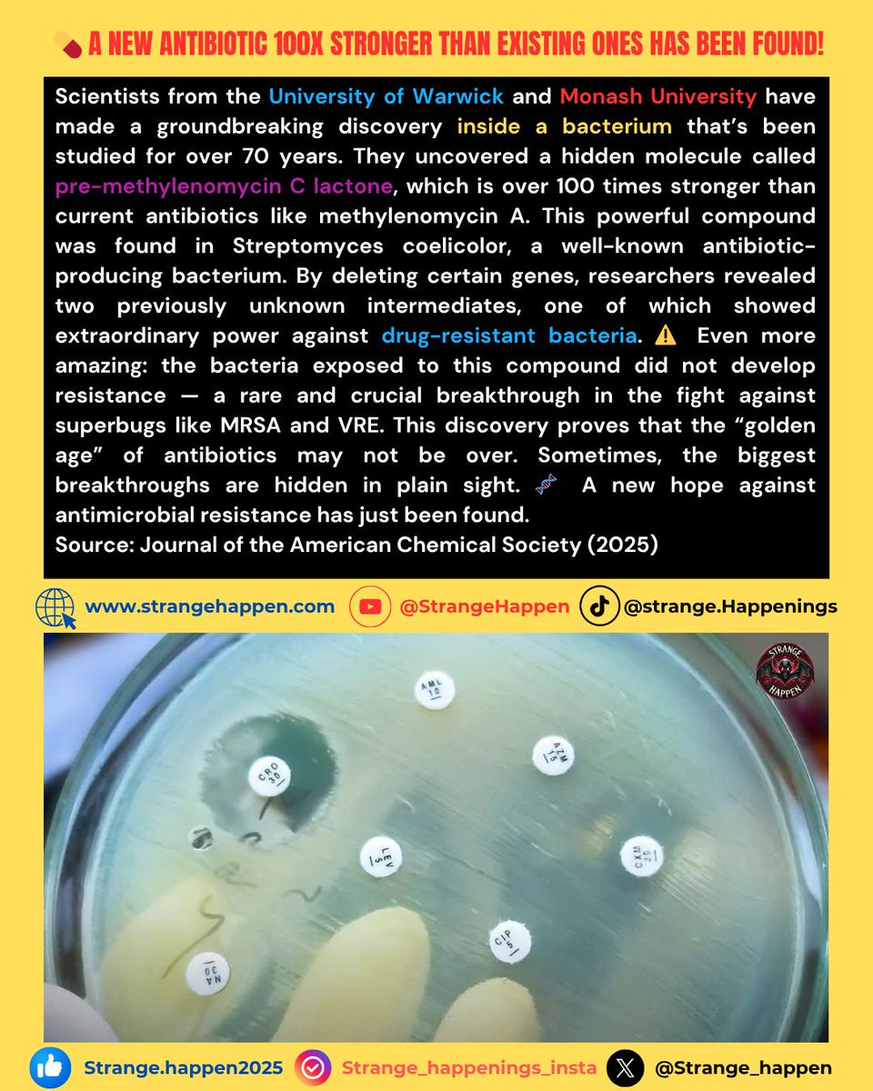 Strange Happenings tweet media