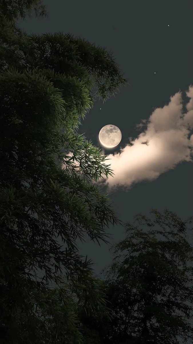 Good Night 🌃

Good night. Sleep well and dream sweetly.