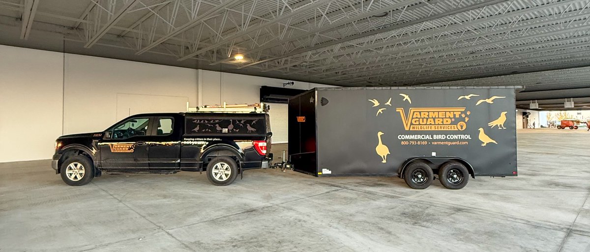 VarmentGuard's tweet image. That’s a wrap on a big one! Our team installed bird netting under two massive canopies — covering 95,000 sq. ft. of space — keeping this delivery facility bird-free and business-ready! 🚛✨
.
.
.
#BirdControl #BirdNetting #WildlifeControl #VarmentGuard