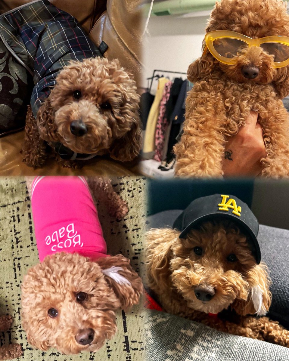 circusslair's tweet image. 🎀💅🏼