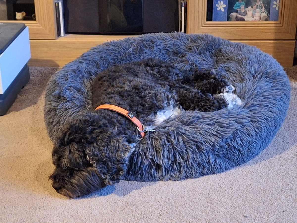 sarah laws (she/her/clanger) tweet media