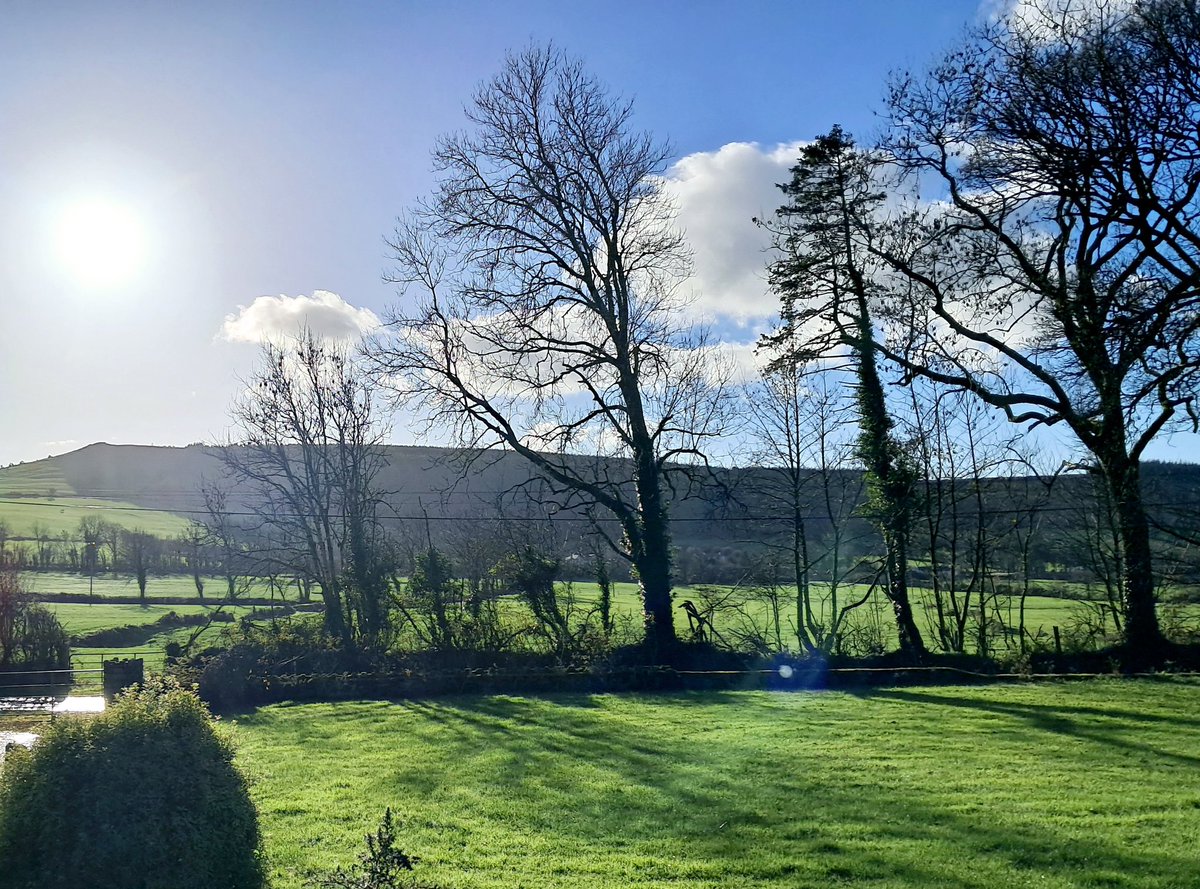 dannykellywords's tweet image. And, after all the rain, a breathtakingly beautiful day. ##Kilkenny