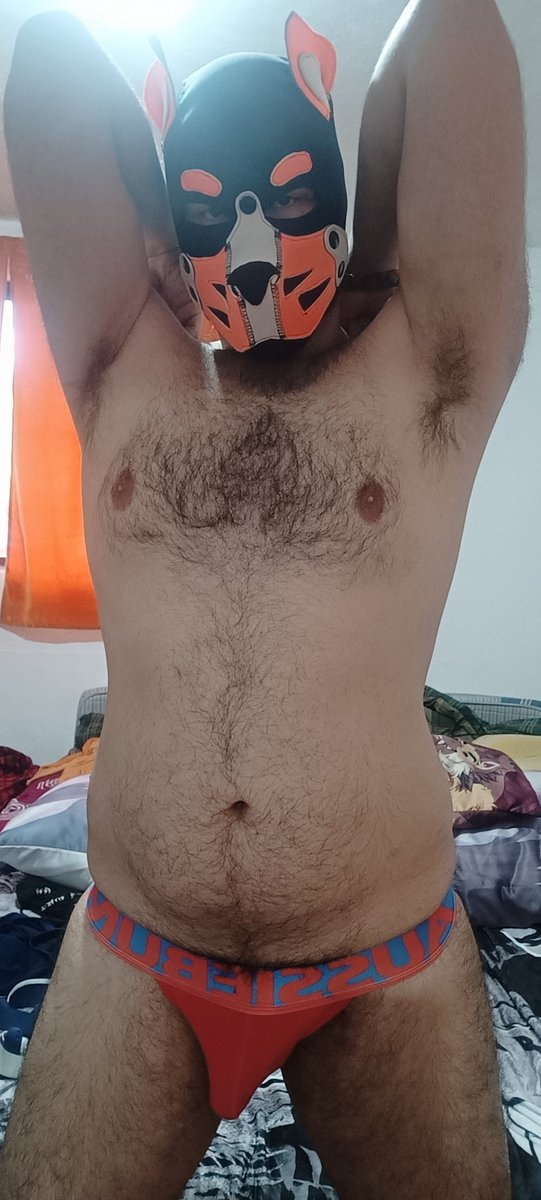 WKsecret_cave's tweet photo. Me gustó mucho esta foto para el #MuskyMonday https://t.co/HXhHg8XVNF