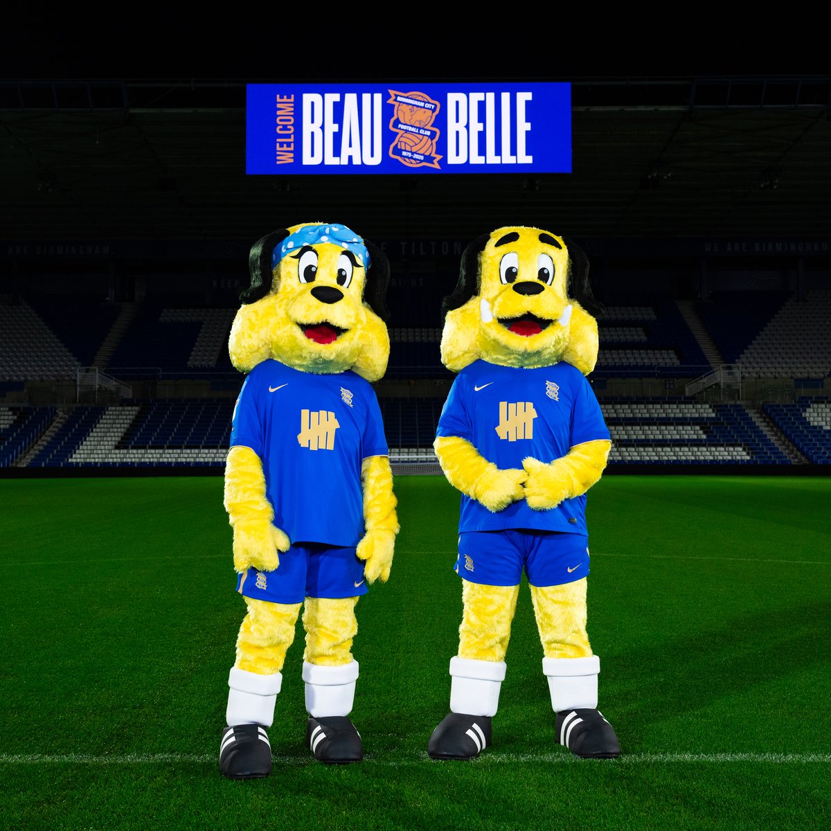 BCFCFanUpdates's tweet photo. They're BACK. 💙

The Club is delighted to confirm that the pair will officially return at the 150th anniversary fixture against Norwich City on Saturday 22 November.