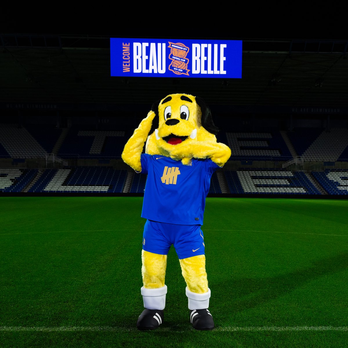 BCFCFanUpdates's tweet photo. They're BACK. 💙

The Club is delighted to confirm that the pair will officially return at the 150th anniversary fixture against Norwich City on Saturday 22 November.