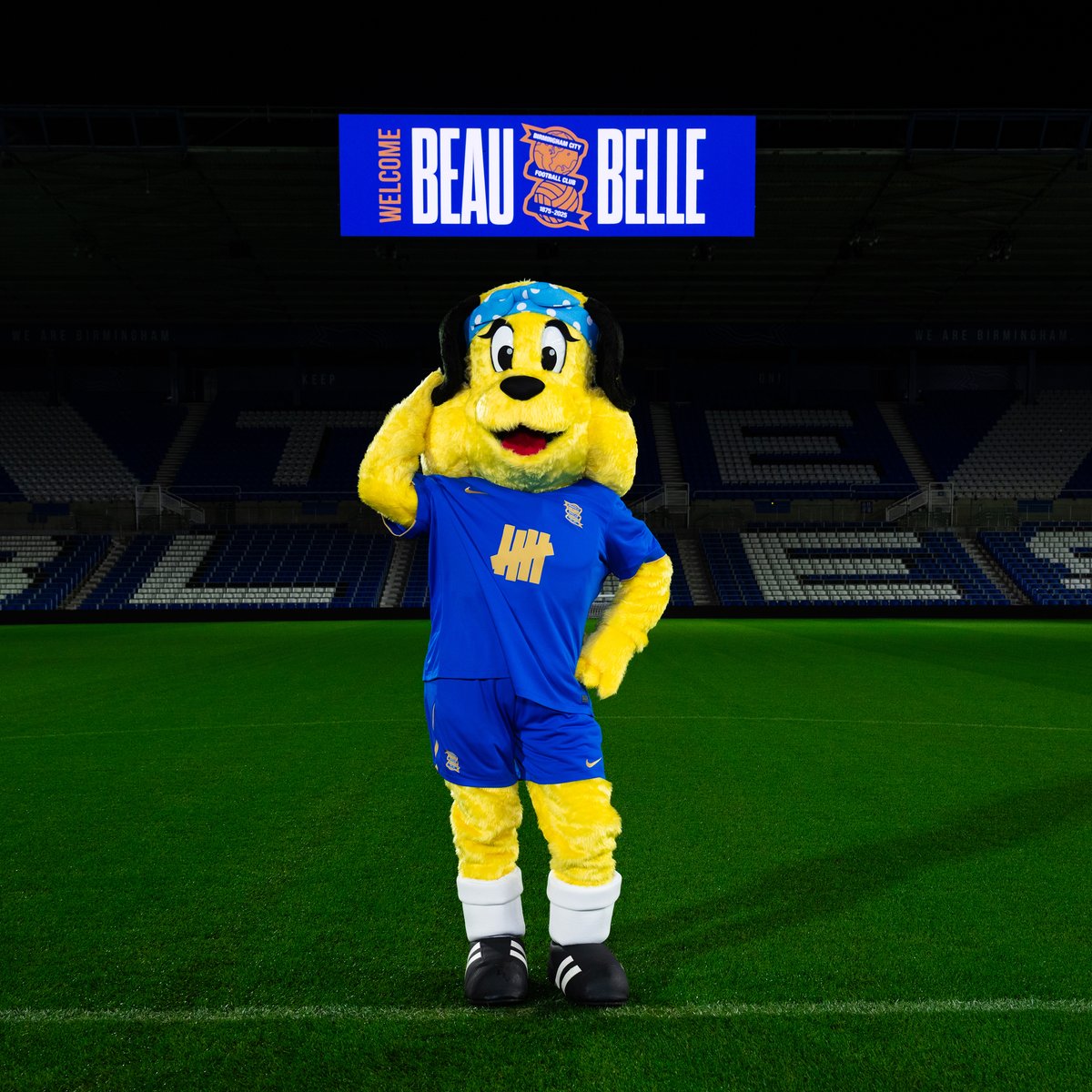 BCFCFanUpdates's tweet photo. They're BACK. 💙

The Club is delighted to confirm that the pair will officially return at the 150th anniversary fixture against Norwich City on Saturday 22 November.