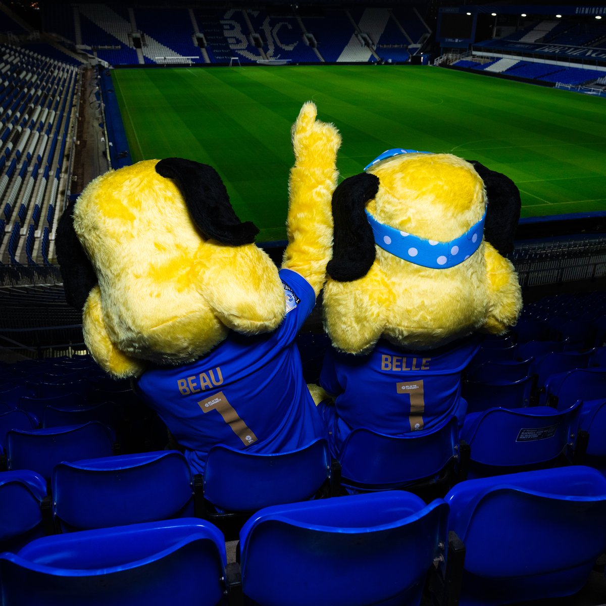 BCFCFanUpdates's tweet photo. They're BACK. 💙

The Club is delighted to confirm that the pair will officially return at the 150th anniversary fixture against Norwich City on Saturday 22 November.