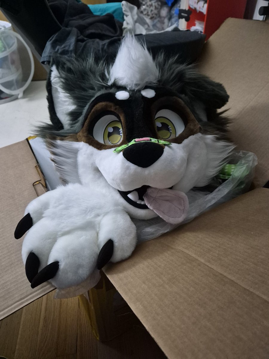 Yay, the cute puppy is home. Maker by <a href="/PawiePaws/">✨🐾Pawiepaws fursuits ✨</a>