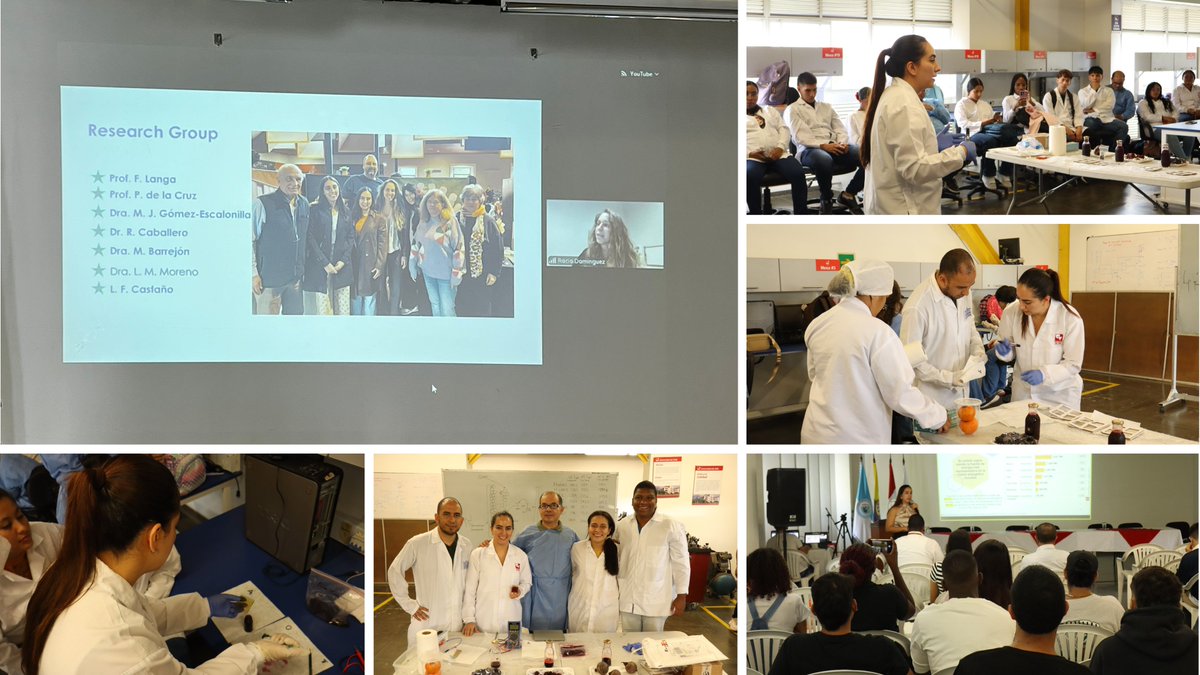 MolToledo's tweet image. 👏 Amazing work by @LeyMar316 &amp;amp; @dm_rocio from @MolToledo at #EIFA in Palmira 🇨🇴! Talks on solar cells &amp;amp; renewable energy, hands-on workshops, plus visits to @Celsia_energia &amp;amp; @providencia_col 🌱⚡ ☀️🍓#CleanEnergy #SolarTech 
@MAmbBioquimUCLM  @uclm