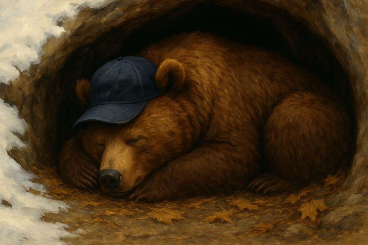 Baseball isn’t gone. It’s just sleeping somewhere warm.