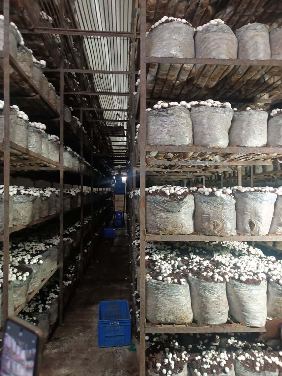 Bhuwan_Ribhu's tweet photo. Congratulations to @JustRightsIndia partner @ProtectWithAVA for rescuing more than 100 trafficked children from a hazardous mushroom-processing unit in Raipur. Over 60 girls and 40 boys were brought from Assam, Odisha, Jharkhand, Madhya Pradesh, and West Bengal and forced to work in freezing temperatures for 12 to 15 hours a day. These were not workplaces but brutal sites of exploitation.

Grateful to @KanoongoPriyank @India_NHRC, @RaipurPoliceCG, and all law enforcement personnel who put in relentless effort to combat this organised crime against our children. This is yet another glaring example of how child trafficking manifests in plain sight. #DontLookAway