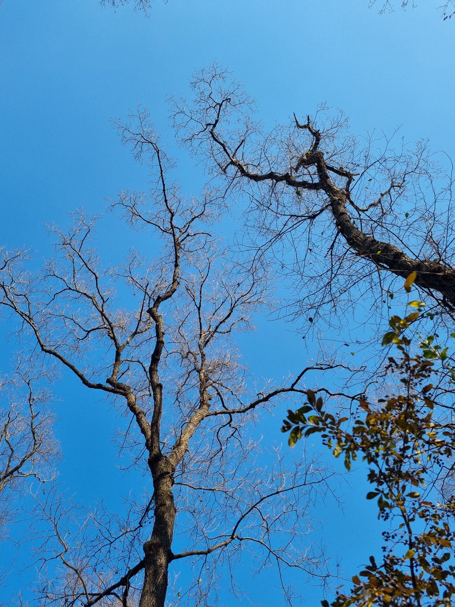 guiyeon_'s tweet image. 생각이 너무 많아 덜어내야 한다.