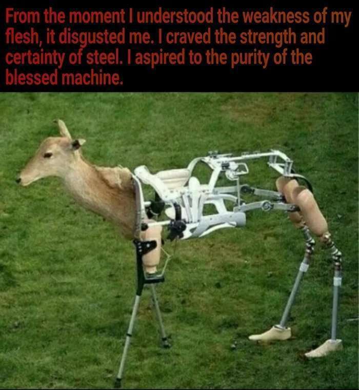 deershouldnt's tweet image. Your kind cling to your flesh, as if it will not decay and fail you.