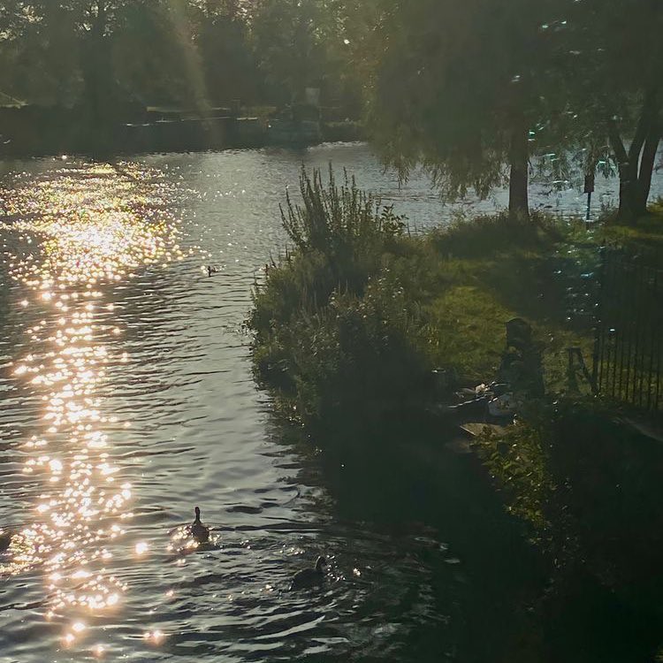 🦢🧜🏼‍♀️✨ (@vibelyra) on Twitter photo 