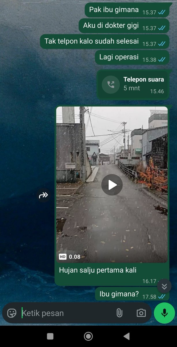 Ngga bakal lupa hari di mana ibu pergi, hari di mana salju pertama kali turun. Hari di mana aku takjub merasakan pengalaman pertama menikmati salju  tanpa perantara. Hari di mana aku pengen kasih tunjuk langsung ke ibu tapi ibu ngga pernah bisa lihat selamanya