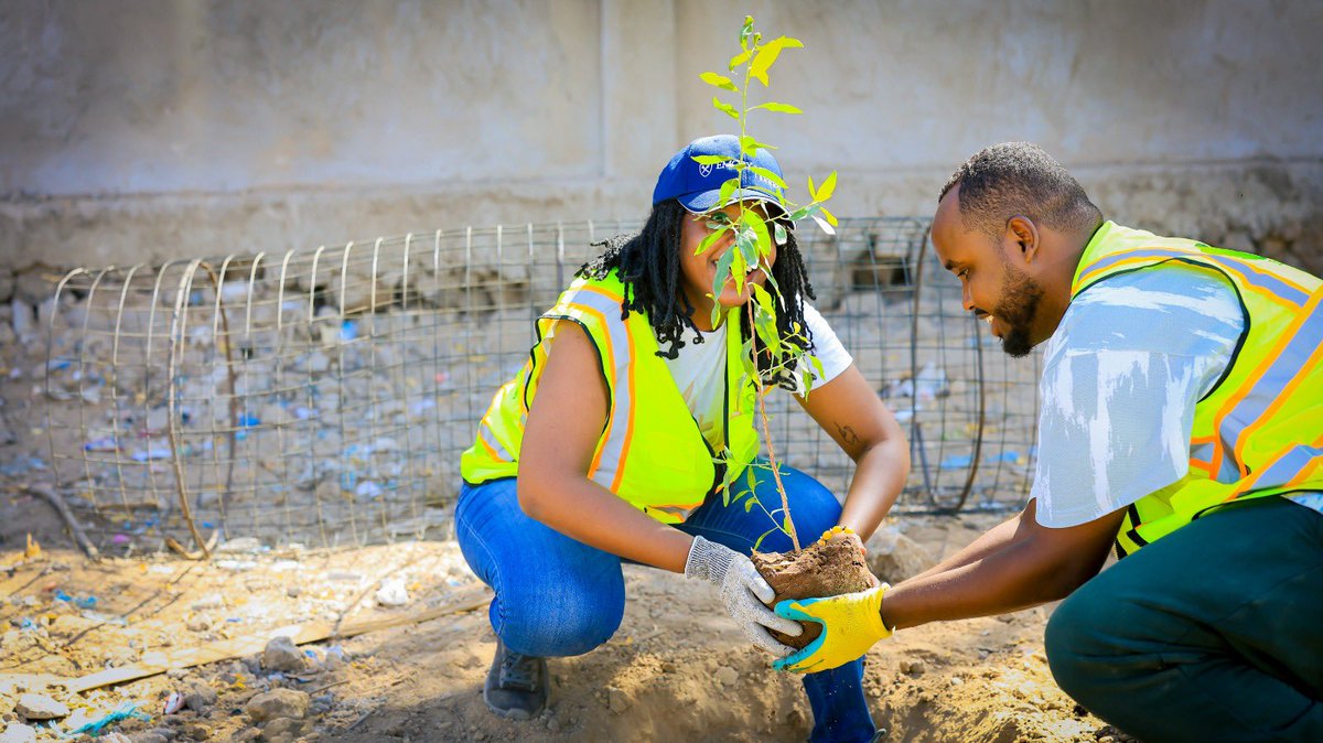 Medoh9FK's tweet image. Actions de plantation et de nettoyage menées par @sos_djibouti pour restaurer nos espaces naturels, comme la facette de l'arrondissement 4 et l'école coranique du Markaz de 🇩🇯