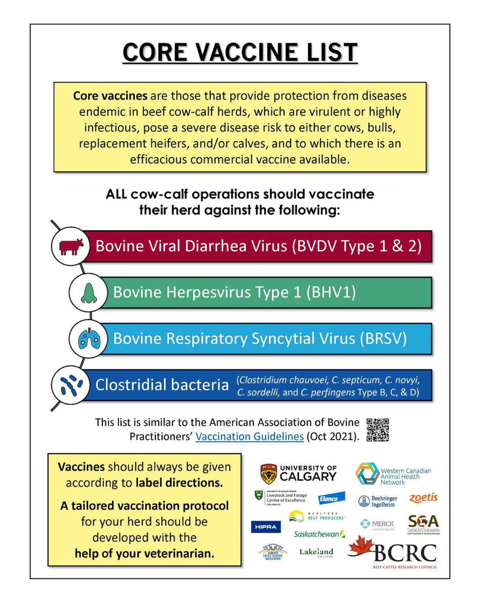 Core vaccines provide protection from "endemic" or common circulating diseases that are highly infectious and pose severe risks to cows, bulls, replacement heifers &amp; calves. Canadian cow-calf operations should consider vaccinating against the following.⬇️
beefresearch.ca/content/upload…