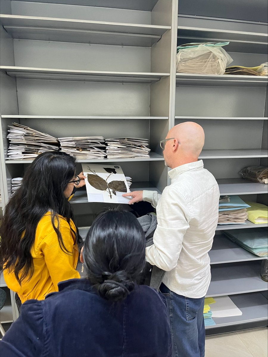 🔬 Recibimos al Dr. James Gordon de <a href="/gcbc_org/">The Global Centre on Biodiversity for Climate</a>, financiador del proyecto #Bioamaz, que impulsa oportunidades económicas en comunidades amazónicas mediante el uso sostenible de plantas para aceites esenciales.
culturacientifica.utpl.edu.ec/bioindustria-d…
💚 Ciencia para transformar el territorio.