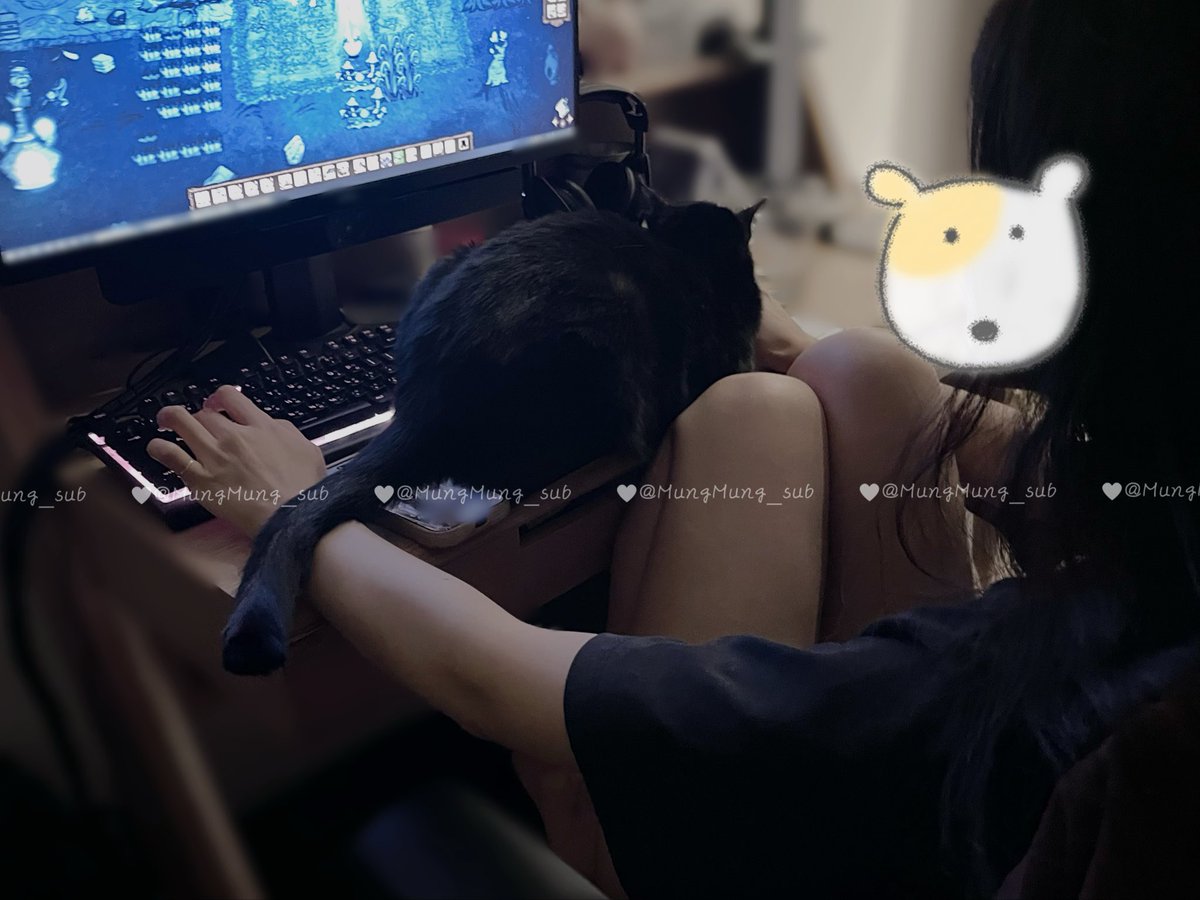 當下我是真的挺忙的啦…
手沒空摸他，只好用臉蹭蹭他了(்▿்)