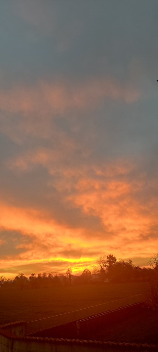 carlanna35's tweet image. 16:52