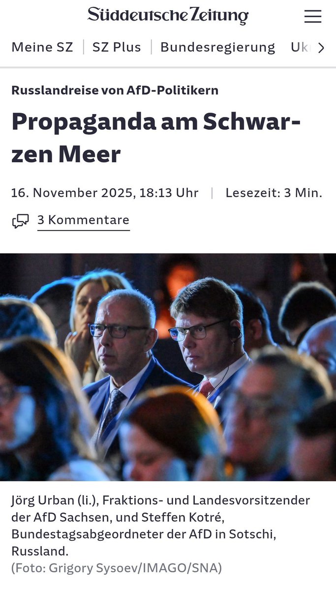 Spesen und Imageschaden für die AfD gibt es obendrein.