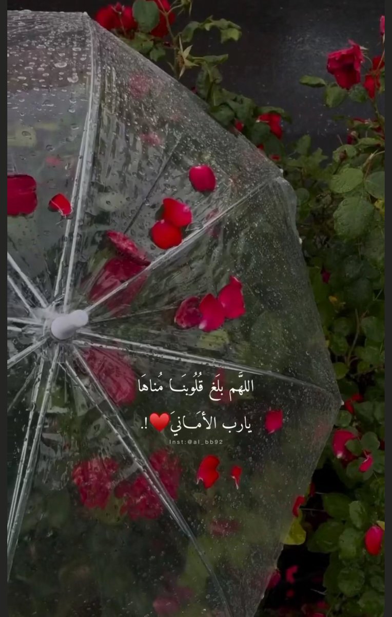 في نهاية التنازلات التي منحتُها لأجلك… سأقدّم آخرها  سأتنازل عنك.
لأنني أدركتُ أن الحب لا يليق به أن يكون مقبرةً لذاتي، ولا ساحةً يُملى عليّ فيها شكل حياتي.

أنا لستُ ظلًّا يتبع خطاك، ولا فراغًا تملؤه حين تشاء…
أنا امرأة كاملة أملك أن أهب وأملك أن أسترد، أملك أن أبقى وأملك أن