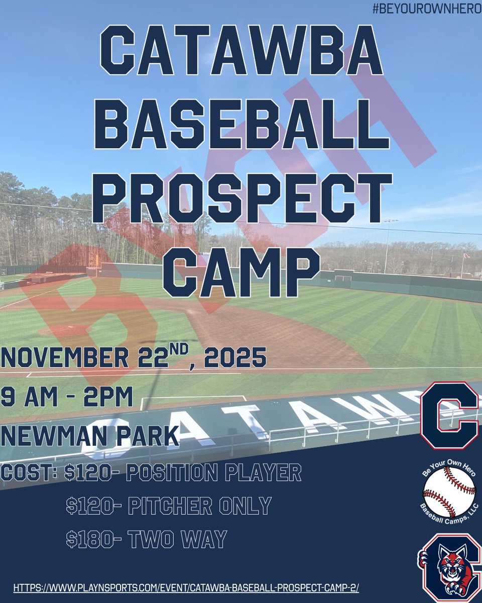 Catawba Baseball Camps tweet media